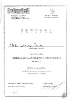 studio-dentistico-fiume